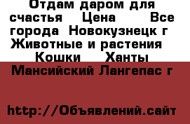 Отдам даром для счастья. › Цена ­ 1 - Все города, Новокузнецк г. Животные и растения » Кошки   . Ханты-Мансийский,Лангепас г.